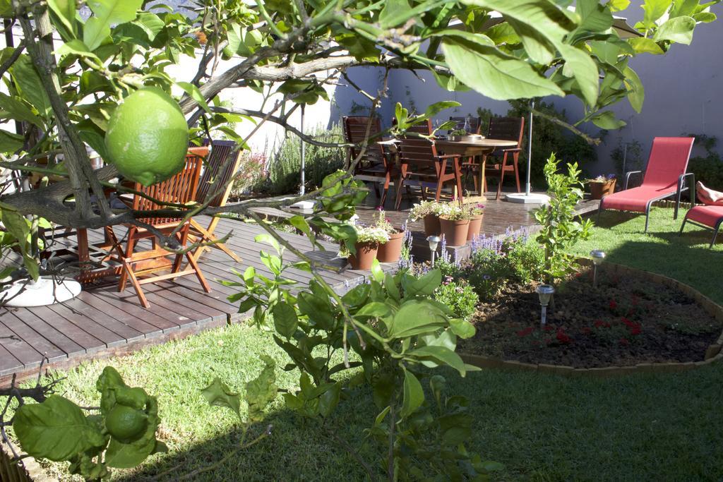 The Lions Guest House Cidade Do Cabo Exterior foto