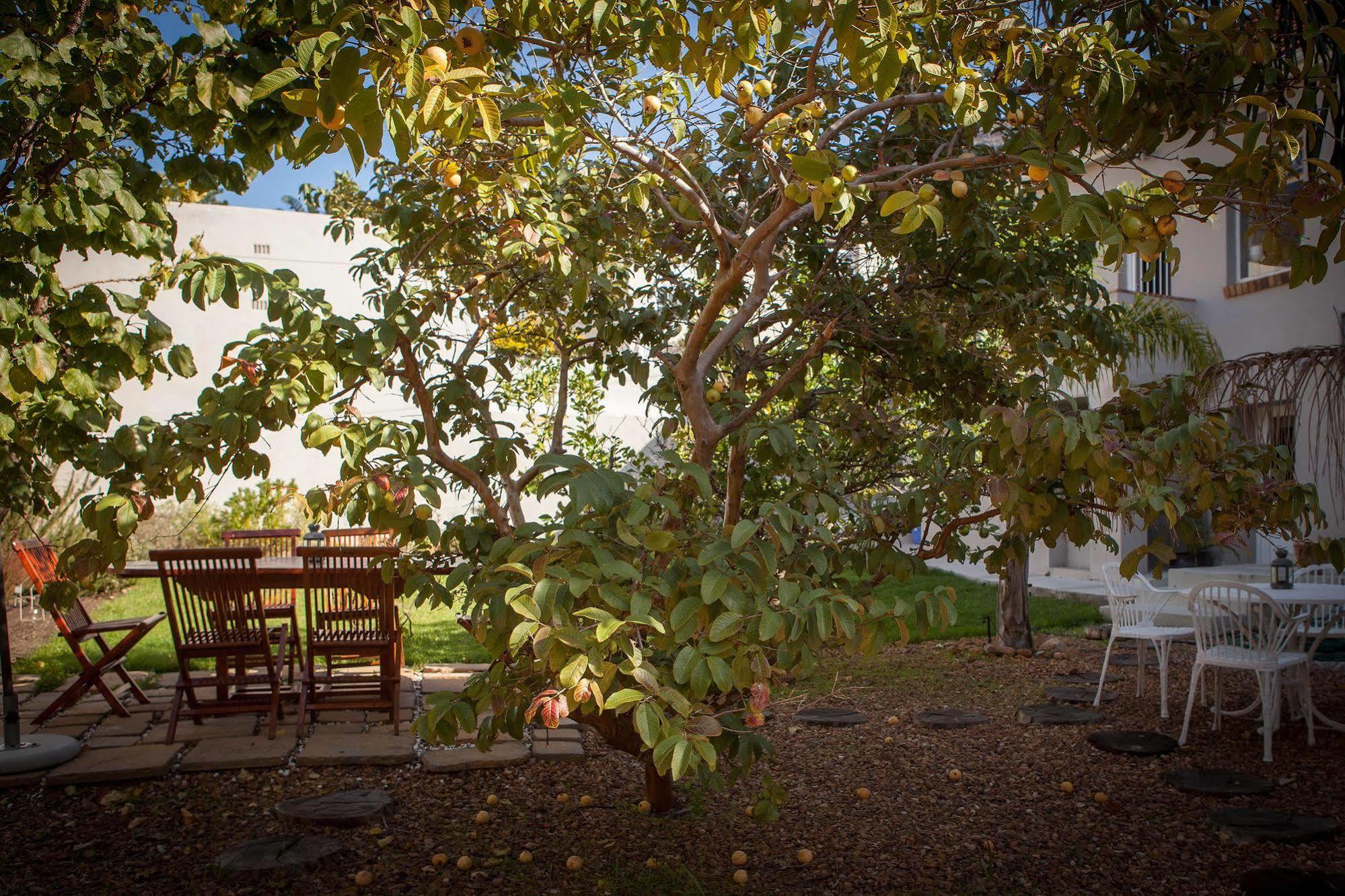 The Lions Guest House Cidade Do Cabo Exterior foto