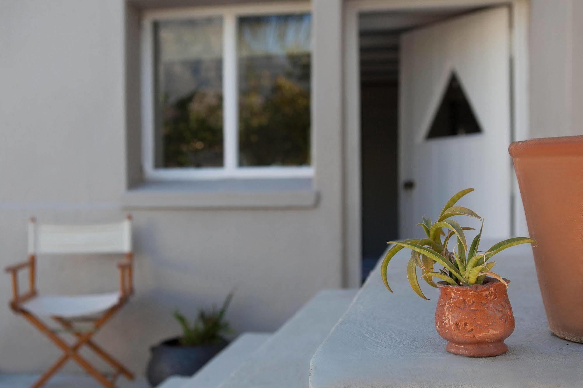 The Lions Guest House Cidade Do Cabo Exterior foto